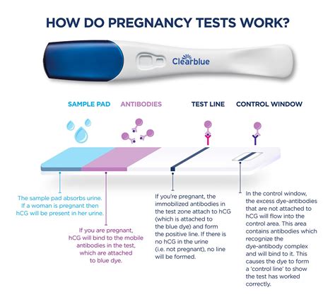 can hcg drops cause a false positive pregnancy test|does clearblue give false positives.